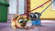 L-R: Rolly (voiced by Sam Lavagnino), Bingo (voiced by Issac Ryan Brown)