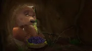 Balu stellt neue Beeren als Köder für den nächtlichen Dieb in Ikkis Versteck.
