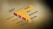 Grafische Darstellung der Teilnehmer der Nazipartei.