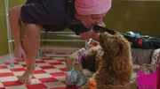 Simon und Wuffel erinnern sich an gemeinsame Erlebnisse.