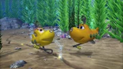 Timmy und Bess haben mit ihren Detektoren den Standort eines möglichen Vulkanausbruchs ausfindig gemacht.