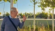 Im Herbst können sich die Besucherinnen und Besucher des öffentlichen Parks in den Wolken nicht nur am Ausblick erfreuen: Das Fallobst darf gegessen werden.