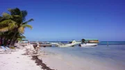 Schnorchelausflug mit den Passagieren Tobias und Marina Koch zu einem Korallenriff bei der Insel Caye Caulker in Belize.
