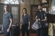 Um einem ehemaligen Kollegen zu helfen, sind Pride (Scott Bakula, l.), Tammy (Vanessa Ferlito, M.) und Sebastian (Rob Kerkovich, r.) nach Südamerika gereist ...