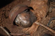 Kopf der Moorleiche von Windeby aus dem Archäologischen Landesmuseum Schloss Gottorf.