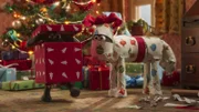 Timmy und Shaun (r.) als Geschenk verpackt.