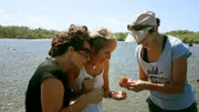 Bettina und Eva wollen in die Natur, ans Meer... Am Galeta Island Marine Education Center werden sie von Meeresbiologin Carmen begrüßt. Ihr Chef Dr. Stanley Heckadon-Moreno erklärt den Schwäbinnen die historische Lage des Instituts. Leider ist das früher blühende Korallenriff durch Umweltkatastrophen ziemlich zerstört worden.