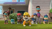 v.li.: Lily, Motor, Charge, Rubble, Wheeler, Lucas, Mix