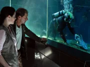 Mehrere wertvolle Fische des Zoo-Aquariums sind aus unerklärlichen Gründen gestorben. Dr. Fährmann (Michael Lesch, M.) und Dr. Susanne Mertens (Elisabeth Lanz, l.) beobachten einen Tauchgang des Tierpflegers Conny (Thorsten Wolf, r.).