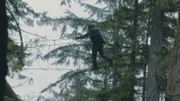 To prove their strength, the survival fighters have to transport a fictional prisoner 16 kilometers through the undergrowth.