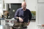Jackson pets a cat.