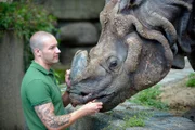 Tierpfleger Carsten Schwend und das Panzernashorn-Männchen Yhoda im Zoo Berlin.
