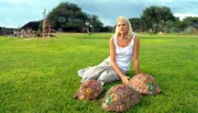 Ungefähr 100 Schildkröten leben auf Harnas, ordentlich mit Nummern versehen und teilweise auch kreativ bemalt.