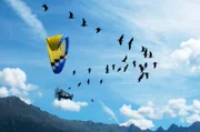 Ein unglaubliches Erlebnis: Frank Elstner fliegt mit den Forschern und den bisher ausgestorbenen Waldrappen im Verband…
