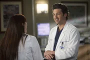 Während Lexie (Chyler Leigh, l.) erfährt, dass Mark mit Julia zusammenziehen möchte, machen Meredith Derek (Patrick Dempsey, r.) eine erschreckende Begegnung mit einem Löwen ...