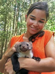 Anna schließt Steinmarder "Seppi" sofort ins Herz. Körperkontakt ist aber bald verboten, damit der Marder möglichst wild bleibt.
