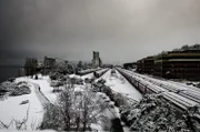 Long lines of snow covered train cars wait to be moved following a surprise snow storm. A lone walker follows the trail through Myrtle Edwards Park in Seattle.