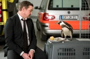 Zwischen Marc Lindner (Christian Beermann, l.) und Pinguindame Chester ist eine ganz besondere Verbindung entstanden...