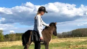 Elfa und ihre Islandpferde 3
