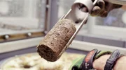 Wie viele Kleinstlebewesen stecken in welchem Boden?