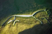 Die prähistorische Hügelfigur „Uffington White Horse“ diente vermutlich als Inspiration für das Banner der Reiter von Rohan in J. R. R. Tolkiens Trilogie „Der Herr der Ringe“.