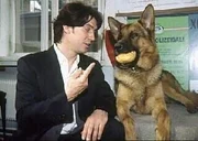 (1.- 4. Staffel) - Rex schafft es immer wieder, Kommissar Moser (Tobias Moretti) seine Wurstbrötchen abzuluchsen.