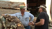 Cliff talking with his client, Russ about the Buckeye burls.