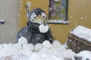 Rabe Rudi freut sich über so viel Schnee. Endlich kann er eine deftige Schneeballschlacht veranstalten.