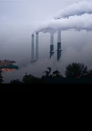 National Geographic documentary From the Ashes still photograph