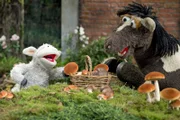 Wolle und Pferd gehen Pilze sammeln.