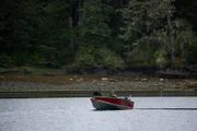 Curly Leach, accompanied by his hunting dog, Junior, scouts for the elusive black bear.