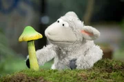 Ob Wolle diesen Pilz mitnehmen soll?
