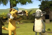 "Cheese"- Shaun setzt sein Sonntagsgesicht auf.