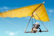 Shaun hat ein neues Verkehrsmittel.