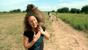 ARD/SWR DAS WAISENHAUS FÜR WILDE TIERE FOLGE 8, "Abenteuer Afrika". Die Volontärin Davina wird beim Ausflug mit den jungen Pavianen ganz schön in die Mangel genommen.