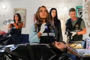 Allie Rajan (Mandeep Dhillon), Maxine Roby (Pauline Newsome), Detective Serena Chavez (Ariana Guerra), Josh Folsom (Matt Lauria).