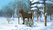 Tatsächlich ist ein Elch in ihrem Wald. Das gab es noch nie.