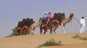 Brandon aus Texas arbeitet für ein internationales Import-Export-Unternehmen und bekommt die Möglichkeit, eine Position in Dubai anzutreten.