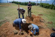 L-R: Jerry, Guillermo, Colin and Max inspect a dig site.