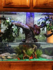 Wide angle shot of finished tank in house.