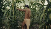 Die Maya können dank cleverem Wassermanagement Maisfelder im Dschungel anlegen.