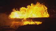 Feuer ist ein wichtiger Bestandteil vieler Ökosysteme.