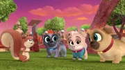 Second from left: Bingo, third from left Keia, first from right: Rolly.
