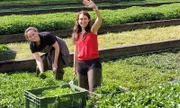 Die Betriebsleiterinnen Thea Zani und Silvia Merz ernten die Brunnenkresse in Handarbeit.