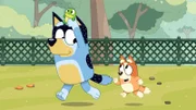 Dad and Bingo run around and have fun with Turtleboy!