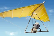 Ob das gut geht? Shaun hat ein neues Verkehrsmittel.
