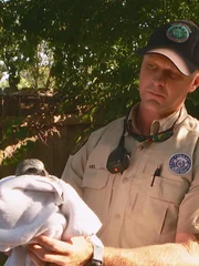 Kiel holding the baby kestrel in a blanket