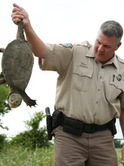 McGee holding a turtle