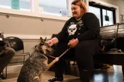 Sunny has been brought into the clinic with stomach issues.