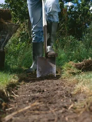 Young woman digging earth with shovel, low section